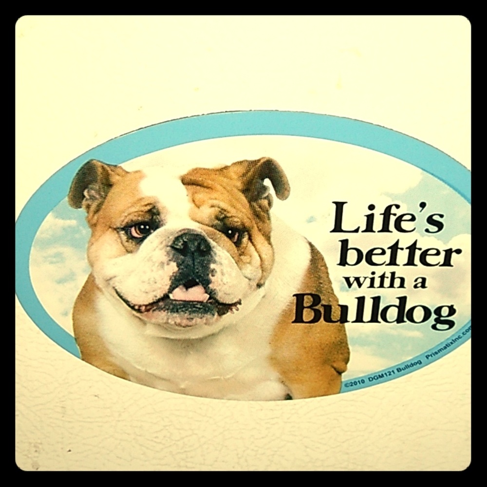 FREE 50$ gift w/Bulldog refrigerator magnet